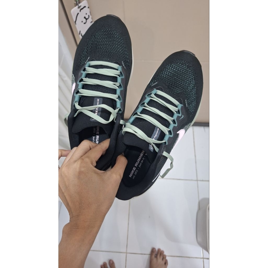 Sepatu lari nike pegasus 41