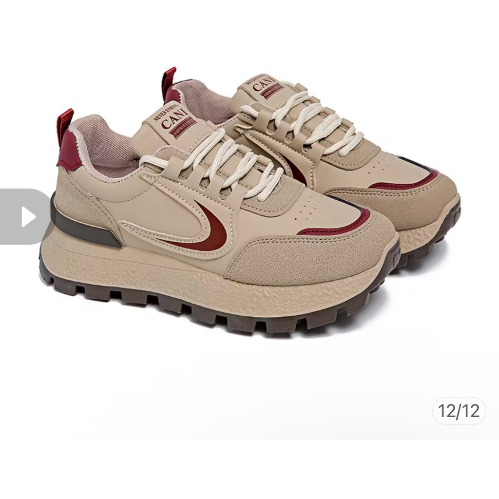 sepatu cani