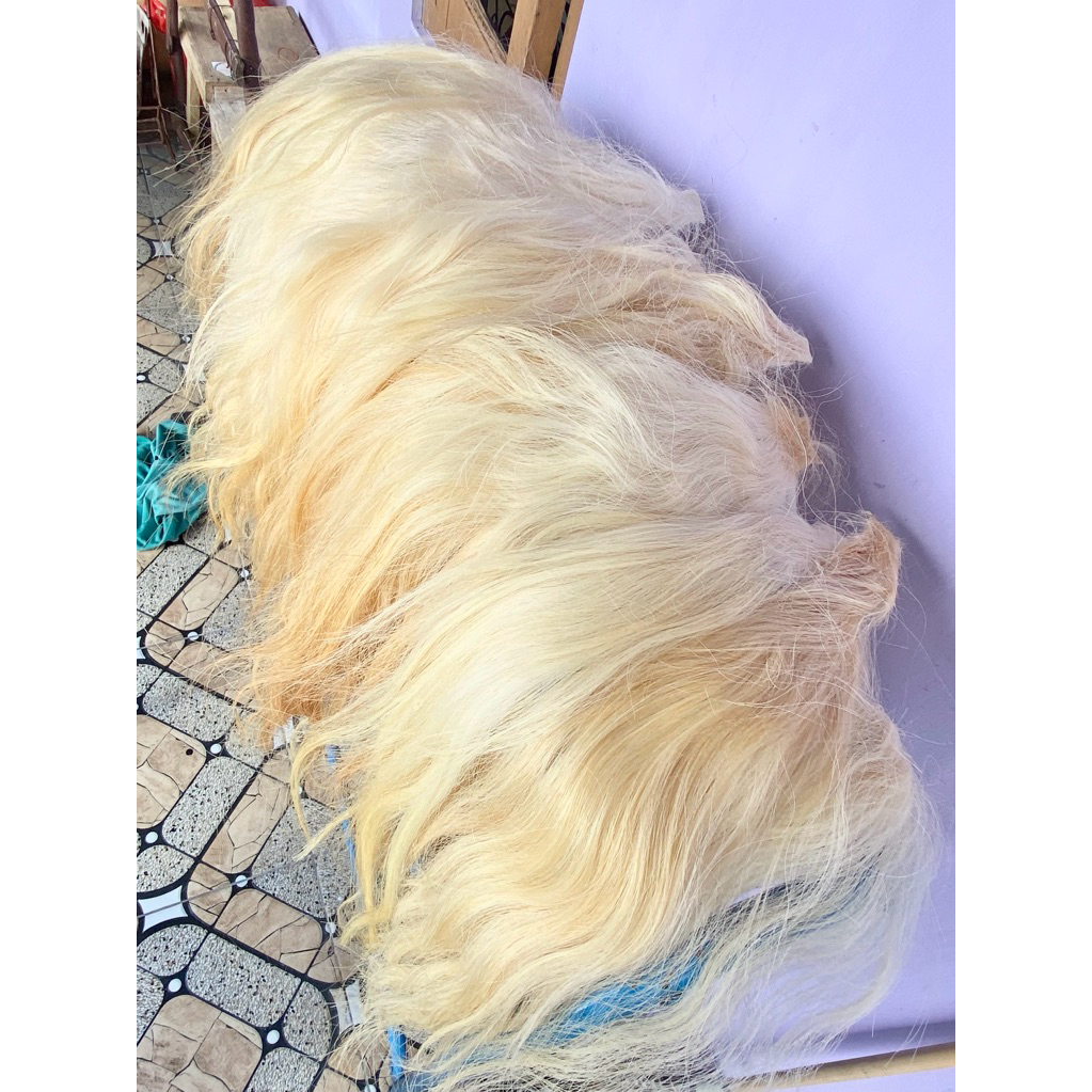 EKOR SAPI SUPER JUMBO WARNA CREM/PIRANG (REAL PICT)