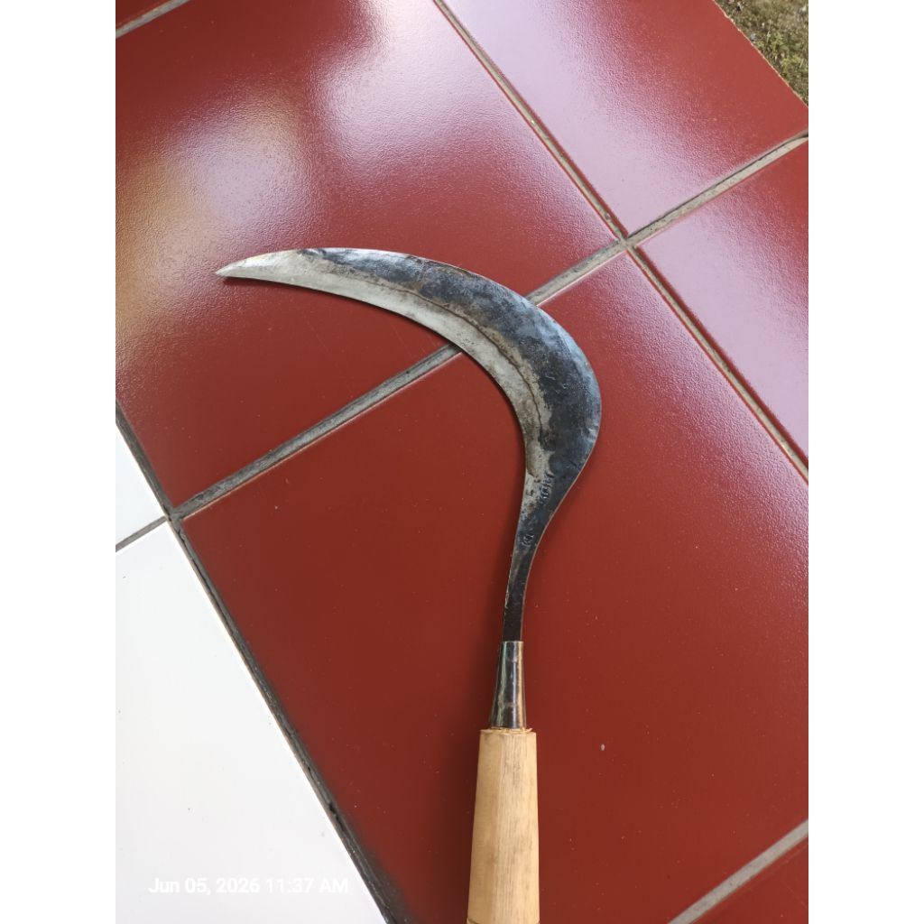 Sabit padi arit mian bahan baja super