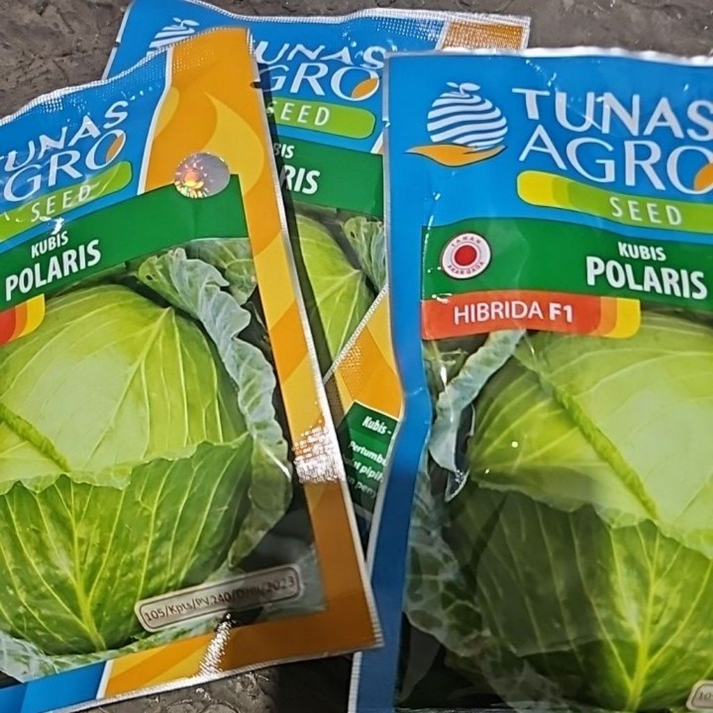 Benih Kubis Polaris 100g
