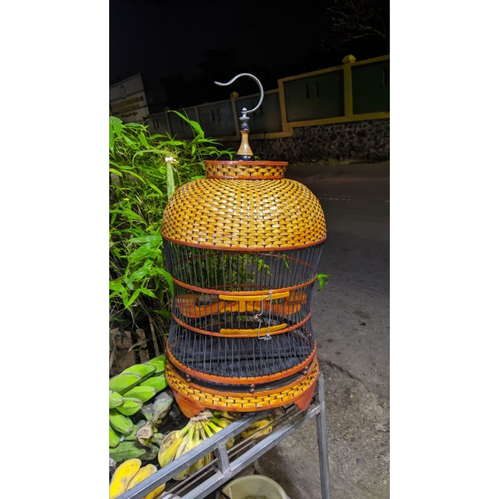 sangkar/kandang perkutut bambu