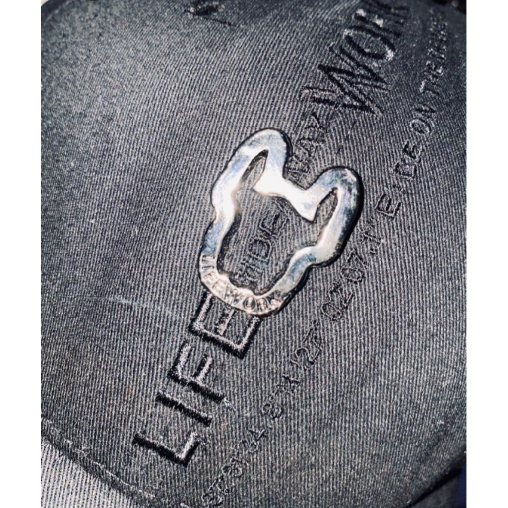 topi lifework logo mettal