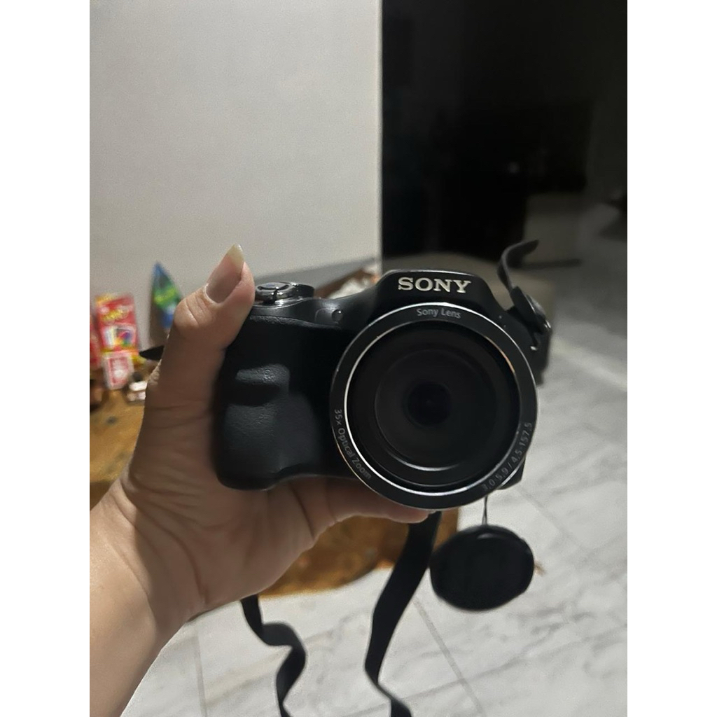 SONY DSC H 300