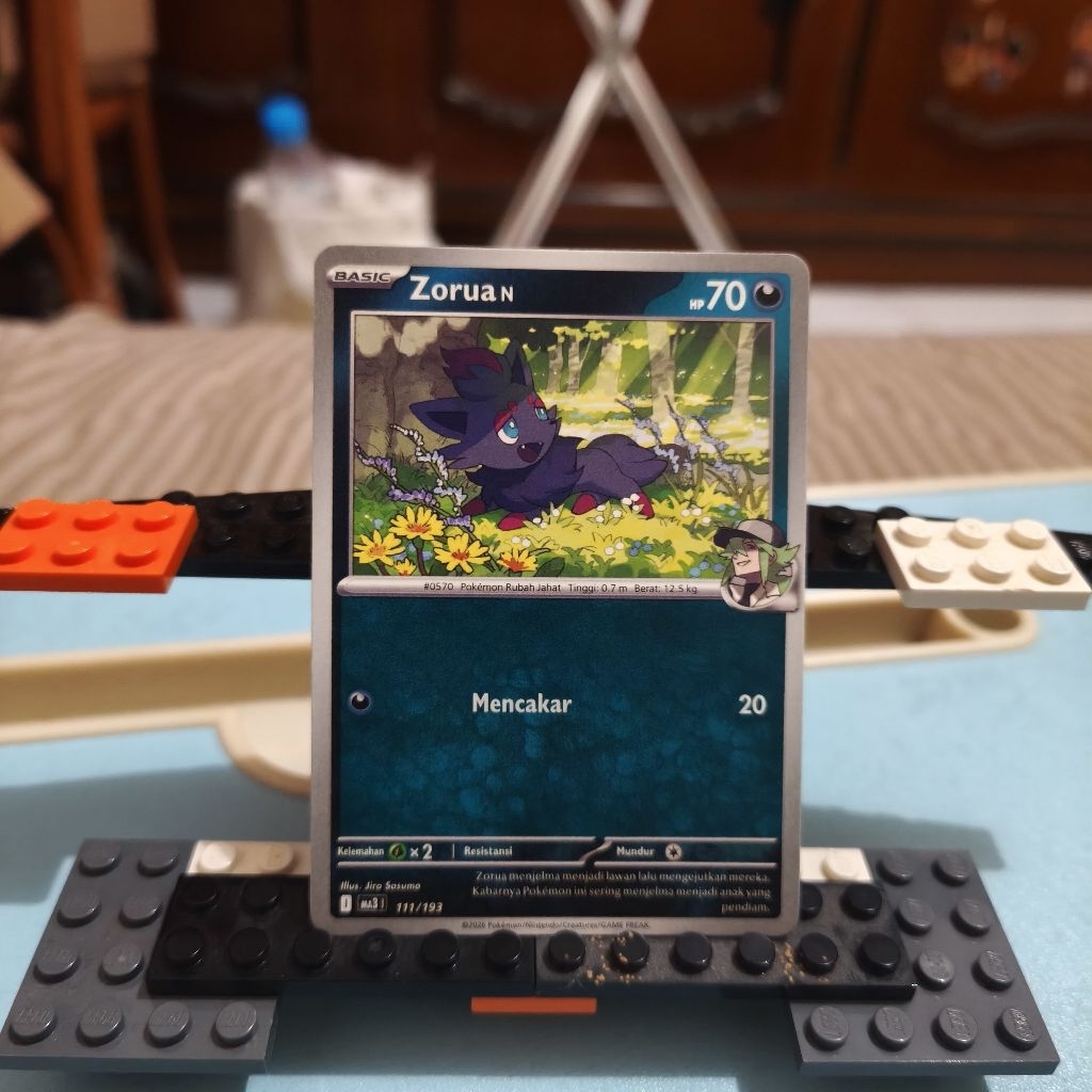 Zorua N Pokemon TCG Indonesia