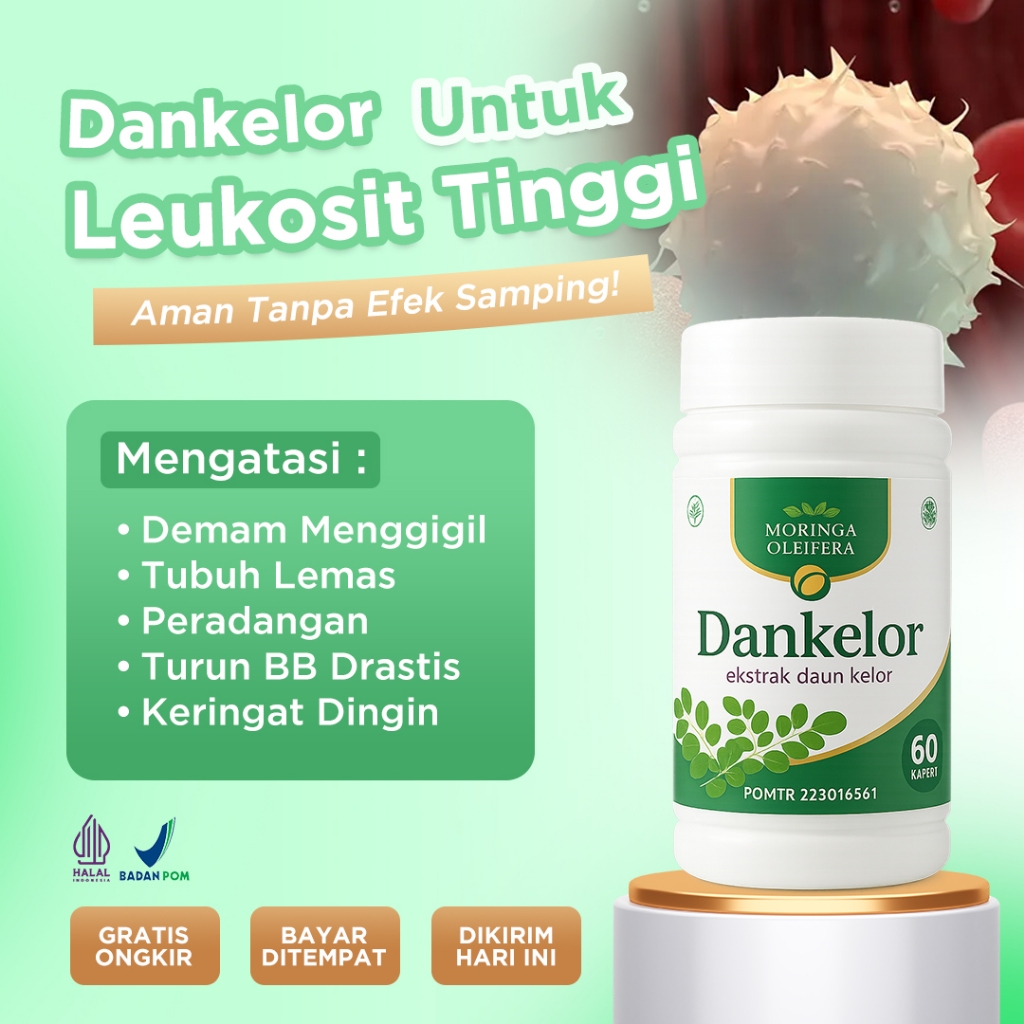 Obat Leukosit Tinggi Herbal Penurun Leukosit Tinggi Kelebihan Sel Darah Putih Penurun Kadar Leukosit