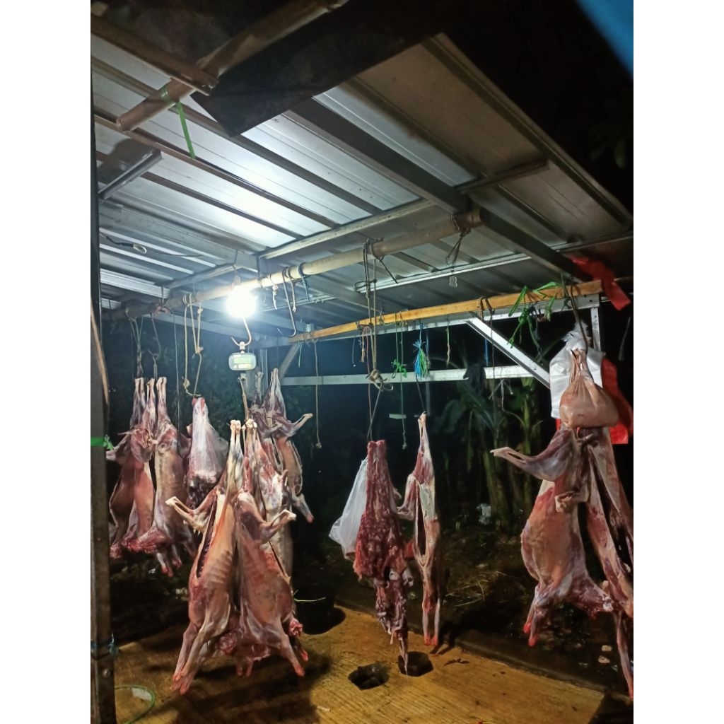 Karkasan Kambing utuh / Daging kambing utuh per ekor
