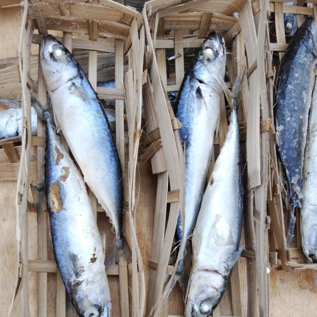 ikan pindang salem