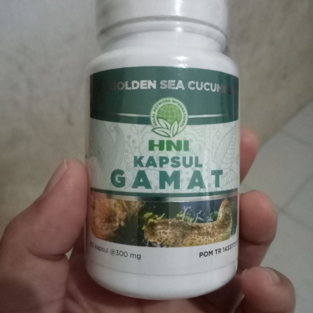 Gamat Kapsul Ekstrak Teripang Emas