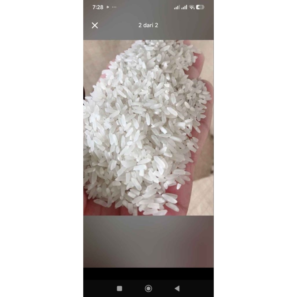 beras r pulen 25 kg