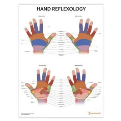 POSTER AKUPUNTUR HAND REFLEXOLOGY