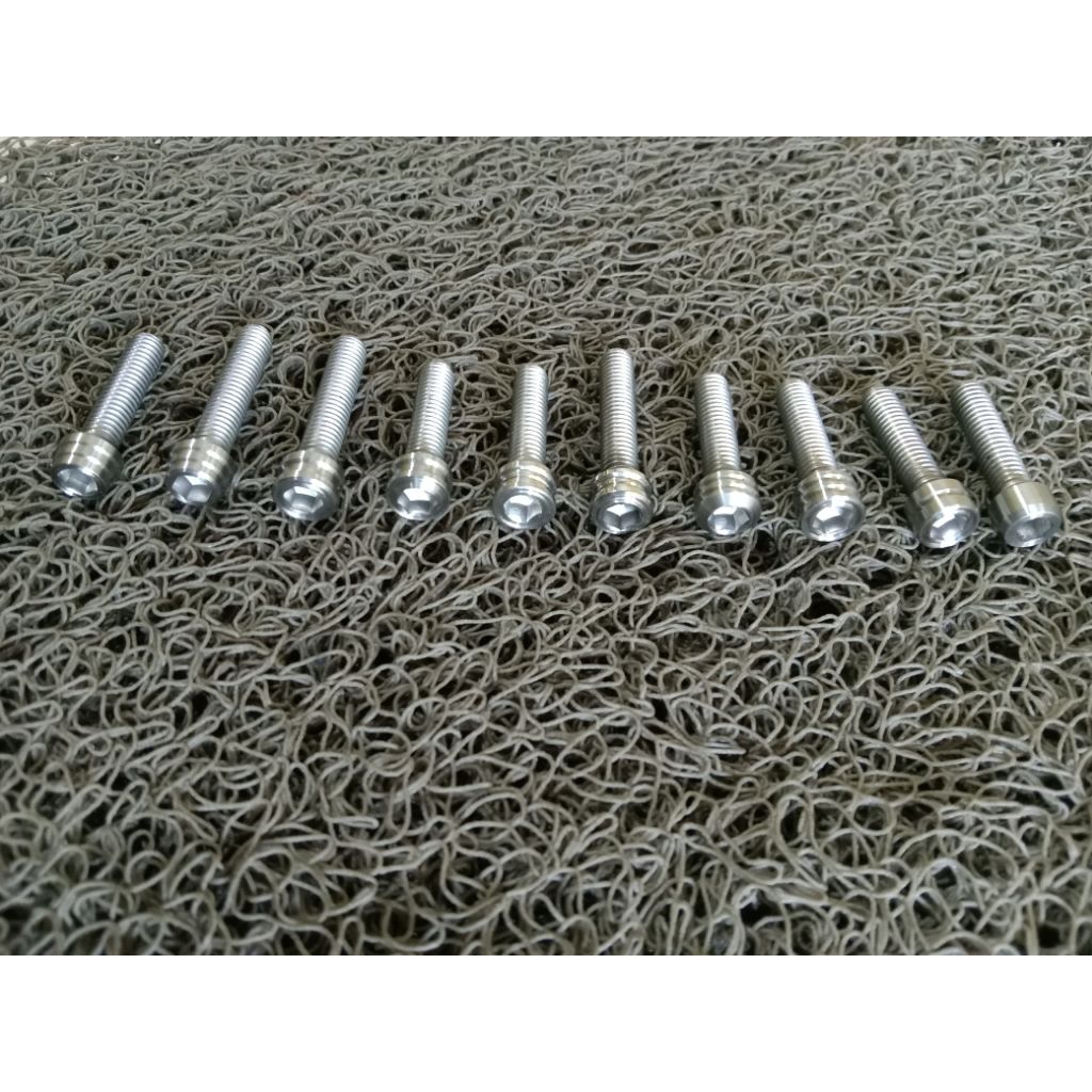 baut 10 L stainless custom M6x55