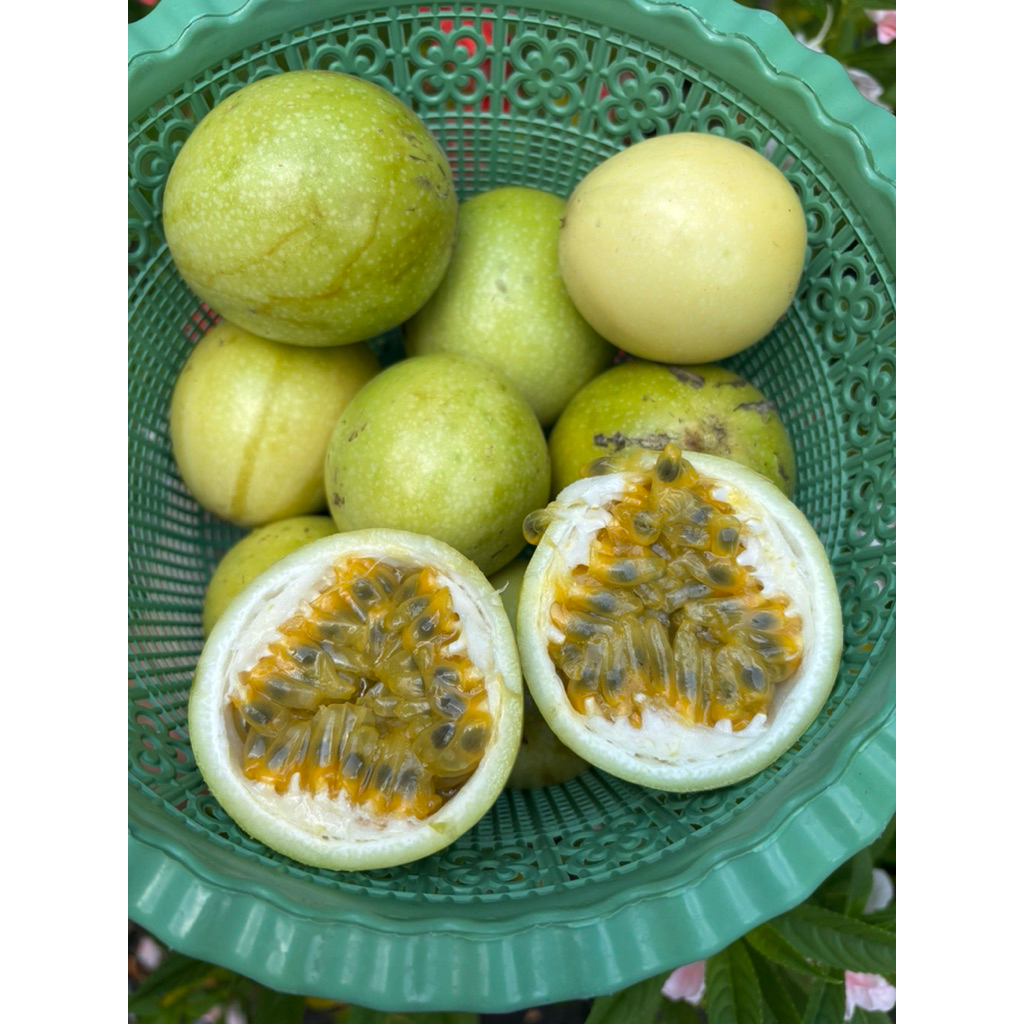 BUAH MARKISA KUNING MANIS ASAM SEGAR
