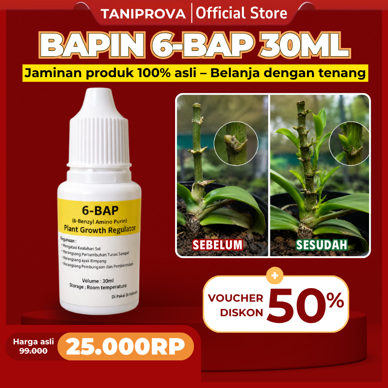 Hormon Pembungaan Anggrek 6-BAP Anggrek Perangsang Tunas Keiki dan Bunga untuk Tanaman Hias