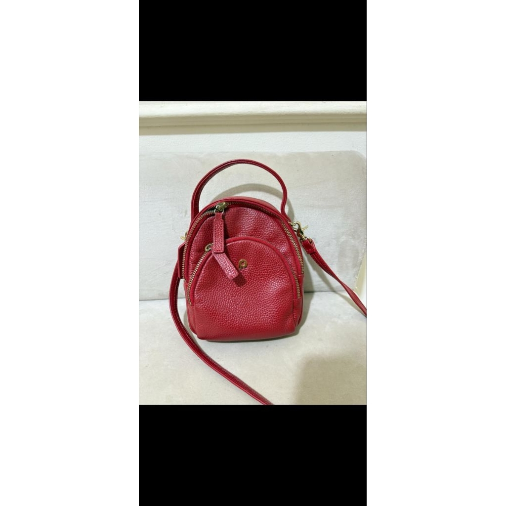 papillon preloved