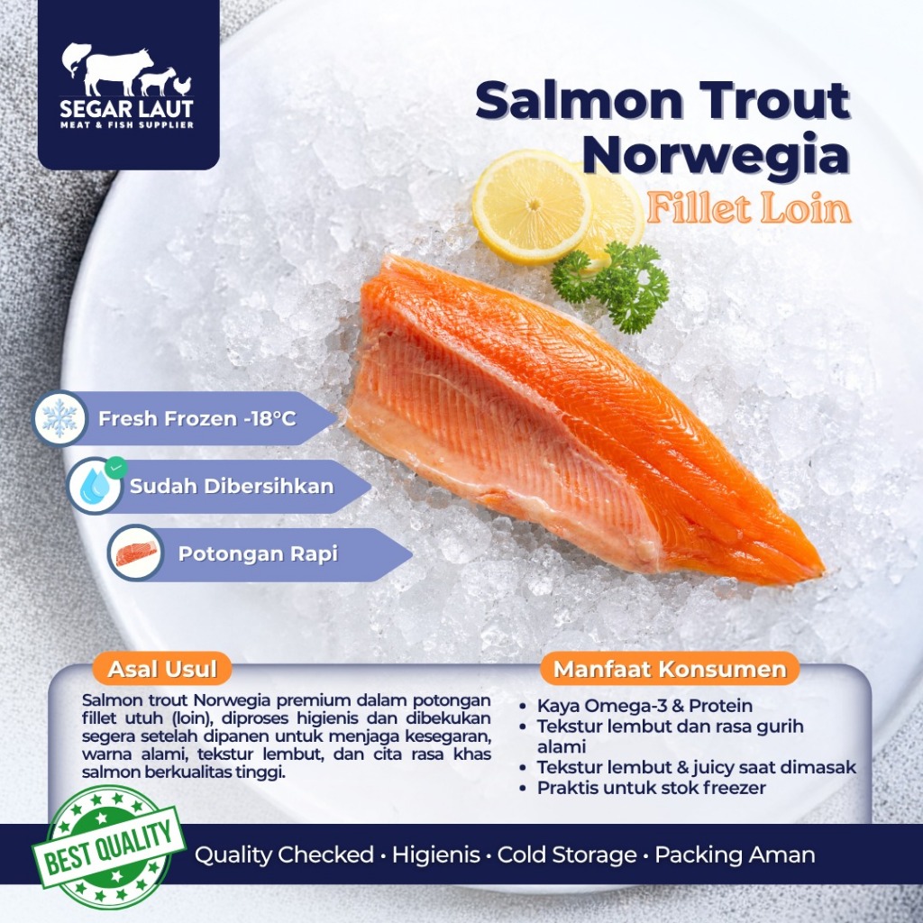 Salmon Fillet Utuh (Loin) | Fresh Frozen | Salmon Trout Norwegia