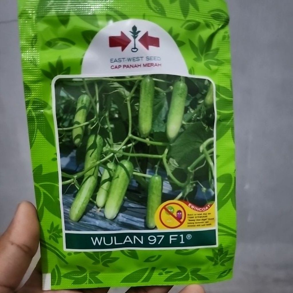 Benih Timun WULAN97 F1