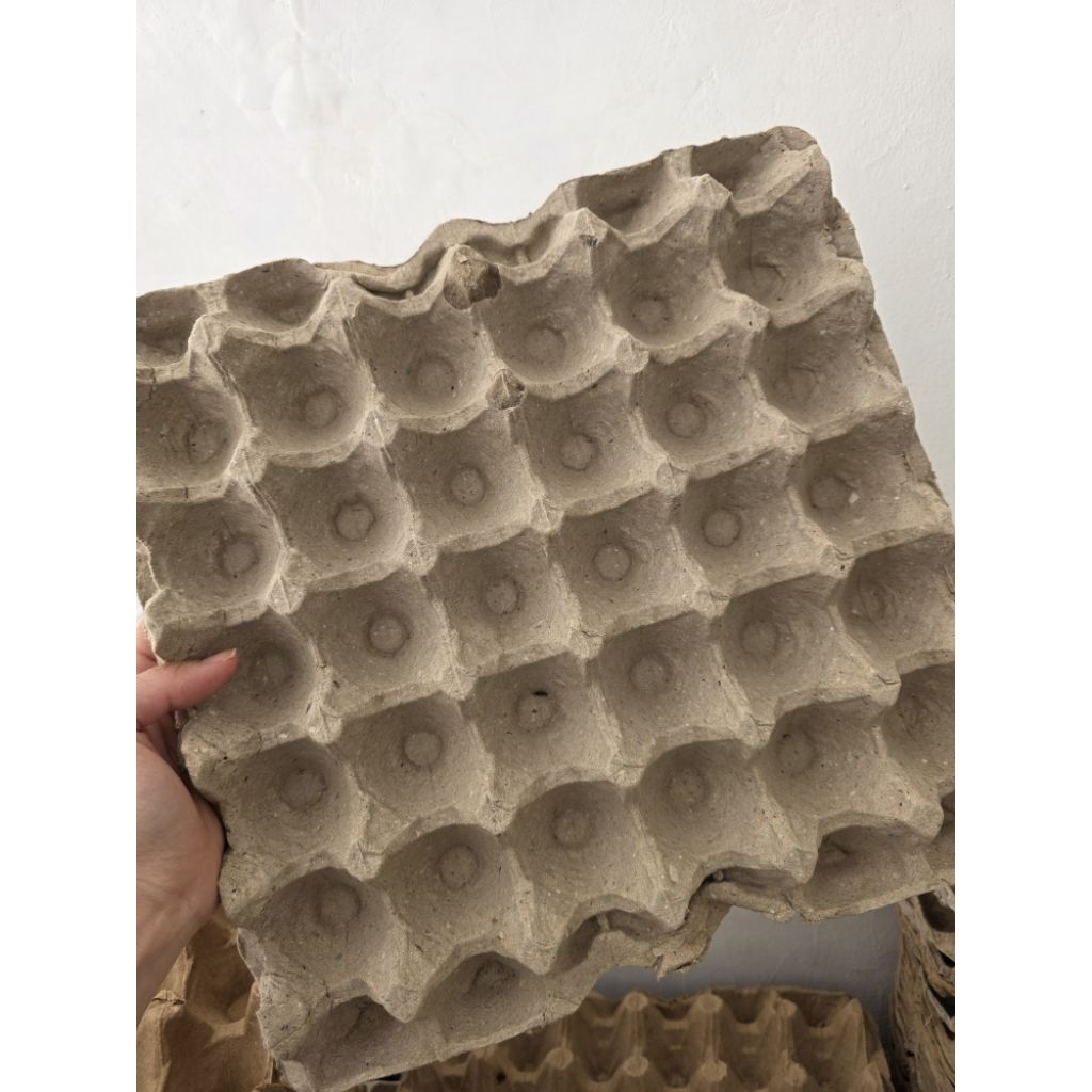 Tray karton telur bekas. kondisi bagus dan bersih