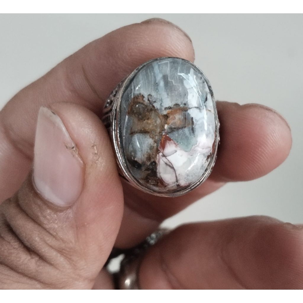 Permata les belatung bali. pakis berduri ring 8