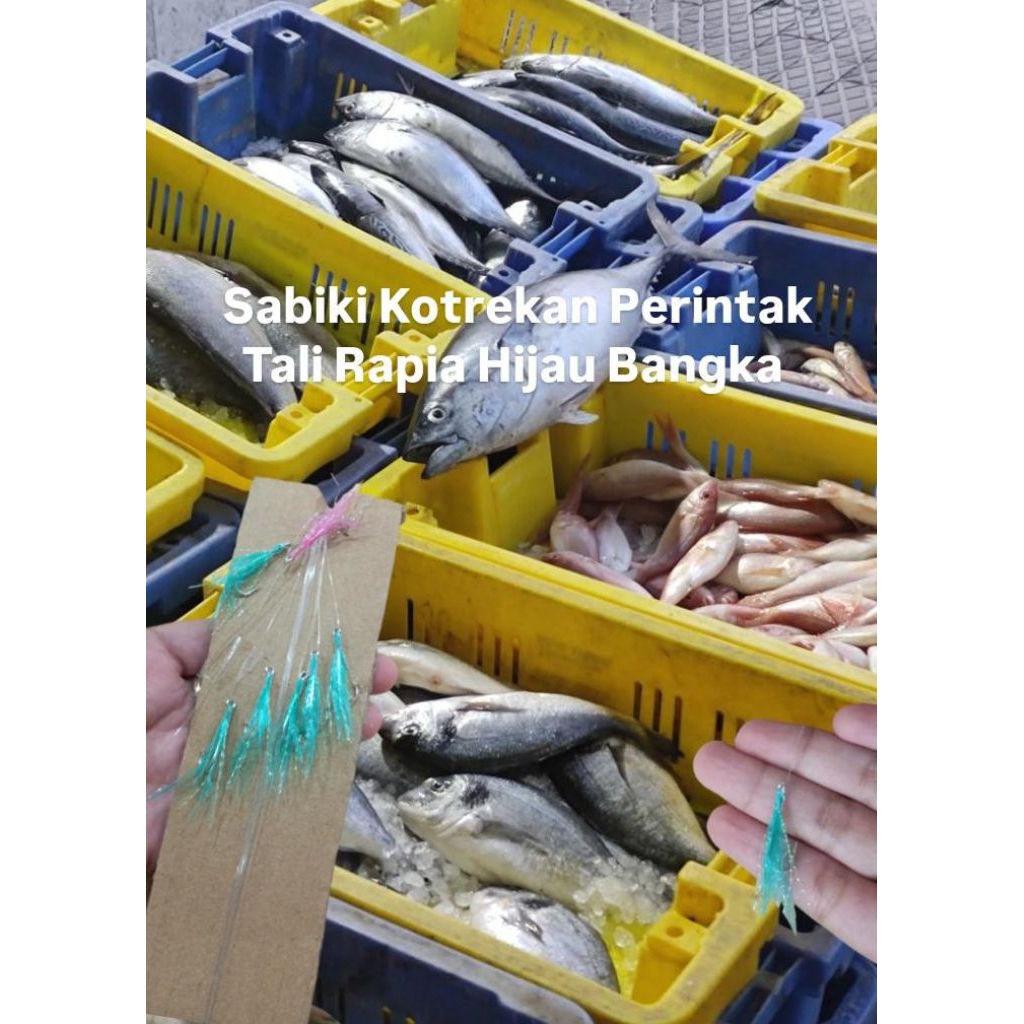 Sabiki Kotrekan Perintak Tali Rapia Hijau Bangka / Ikan Tambang / Ikan Selar / Ikan Kuning