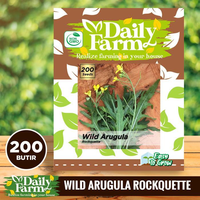 DF Benih Bibit Arugula Wild Rockquette Repack