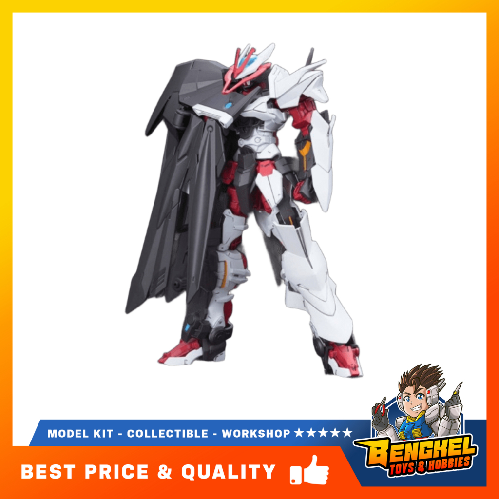 TIGER MODEL 012 HG 1/144 ASTRAY NO NAME MODEL KIT