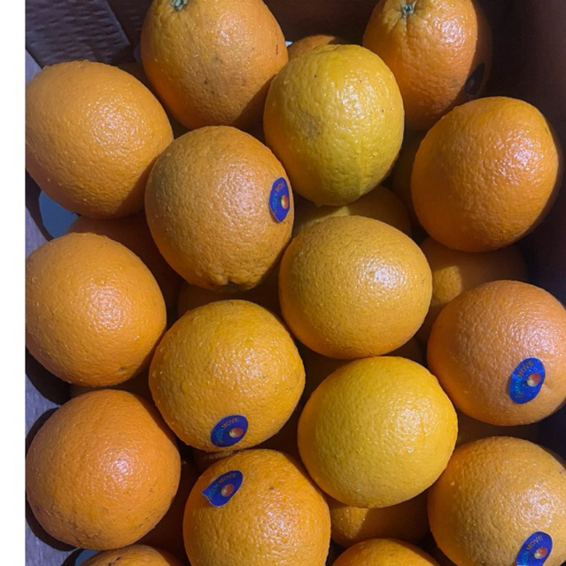 jeruk sunkist