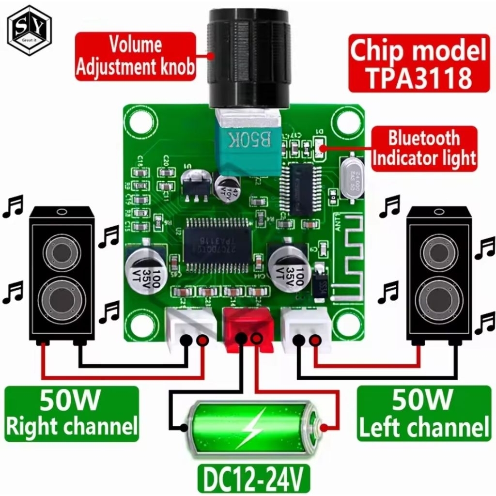 TPA 3118 Amplifier board 50W+50W onboard TPA3118 D2