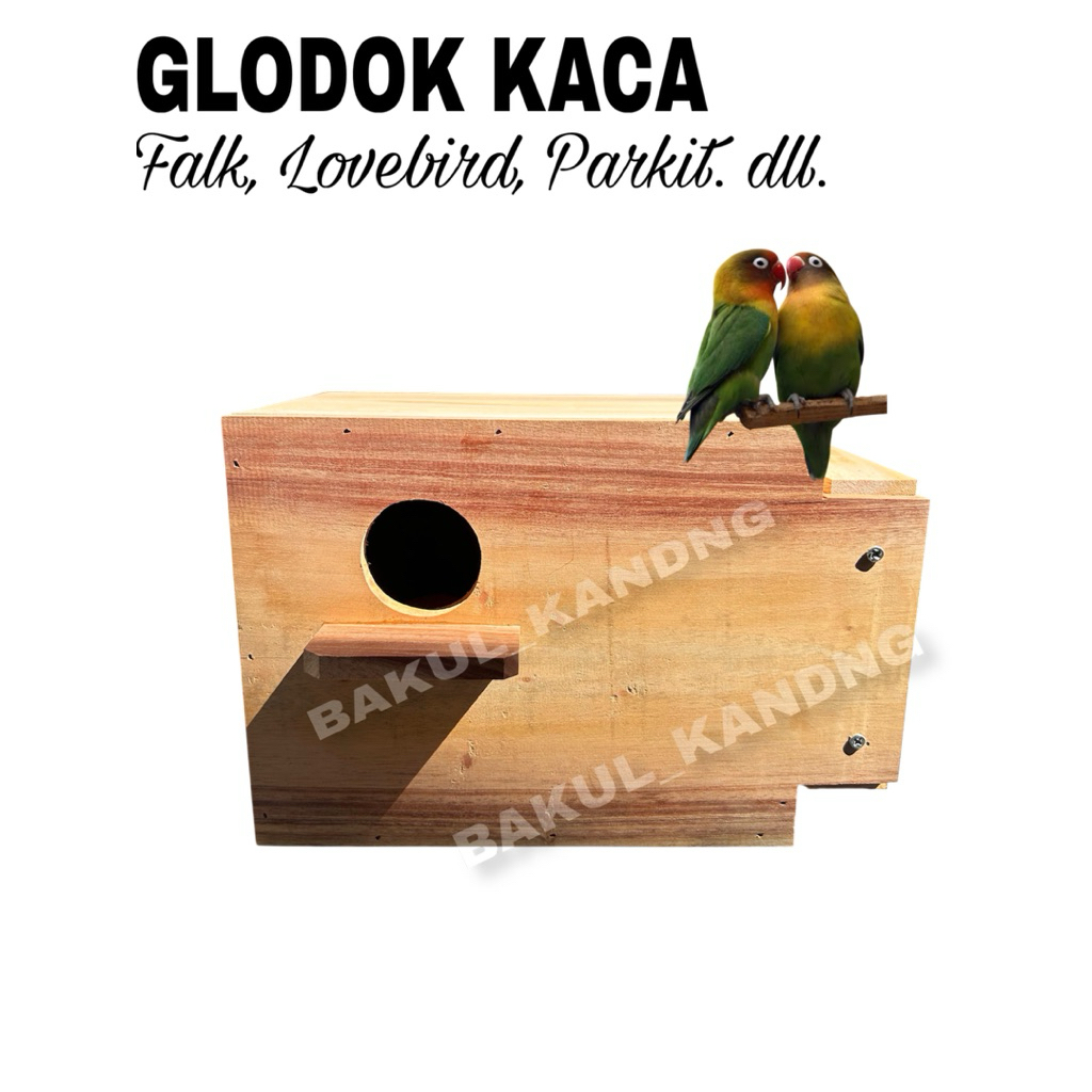 GLODOK KACA LOVEBIRD|FALK|PARKIT |GLODOK TERNAK KAYU MAHONI