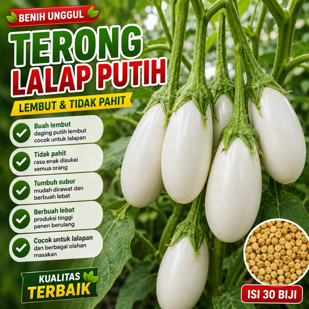 PAKET ISI 30 BENIH BIJI TERONG LALAP PUTIH -RSB1990