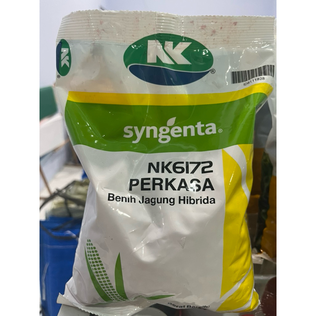 Benih Jagung NK6172 Perkasa Syngenta
