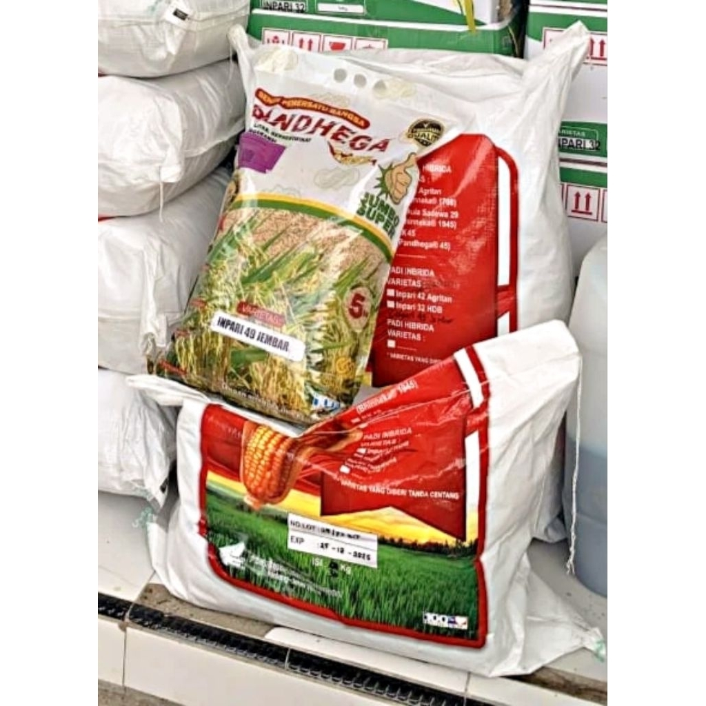 benih padi Inpari 49 Super Jumbo
