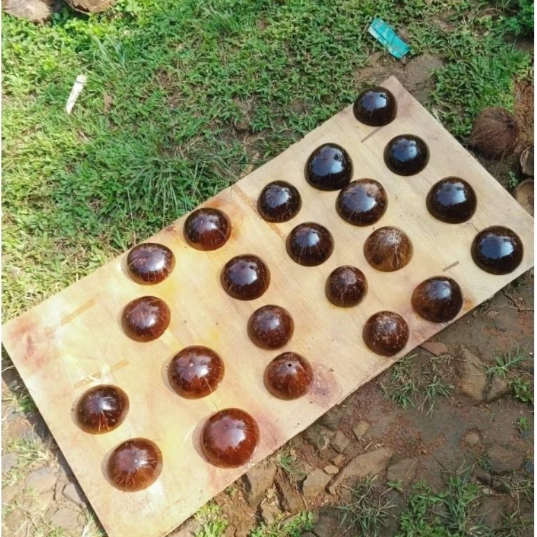 Batok tari dan bra batok kelapa satu pasang