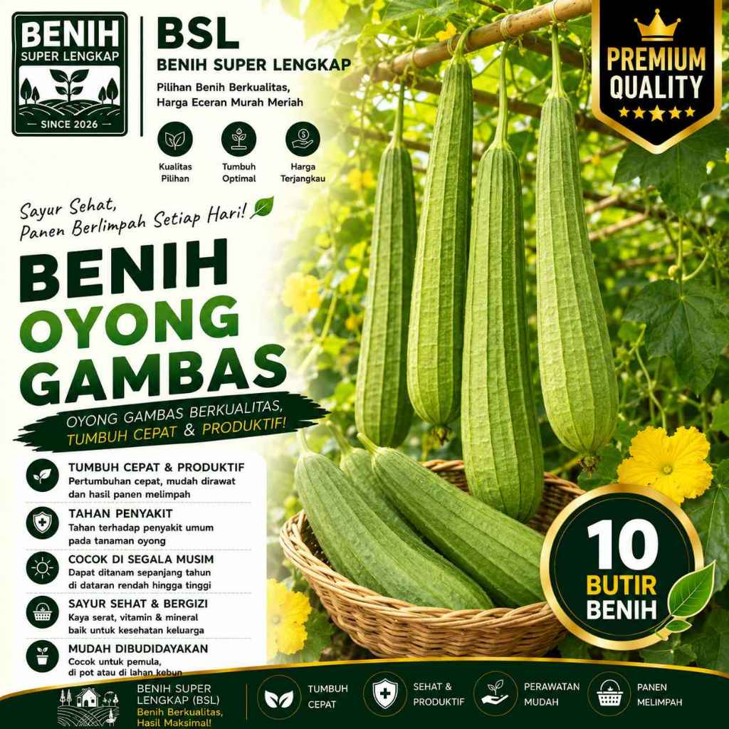 ( 10 Butir ) Benih Biji Oyong | Gambas | Emes | Luffa Acutangula | UKI BIBIT