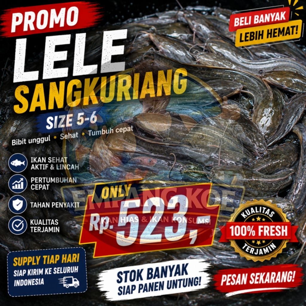 Bibit Lele Pakan Predator - Bibit Lele Sangkuriang Ukuran 5-6 cm Super Premium