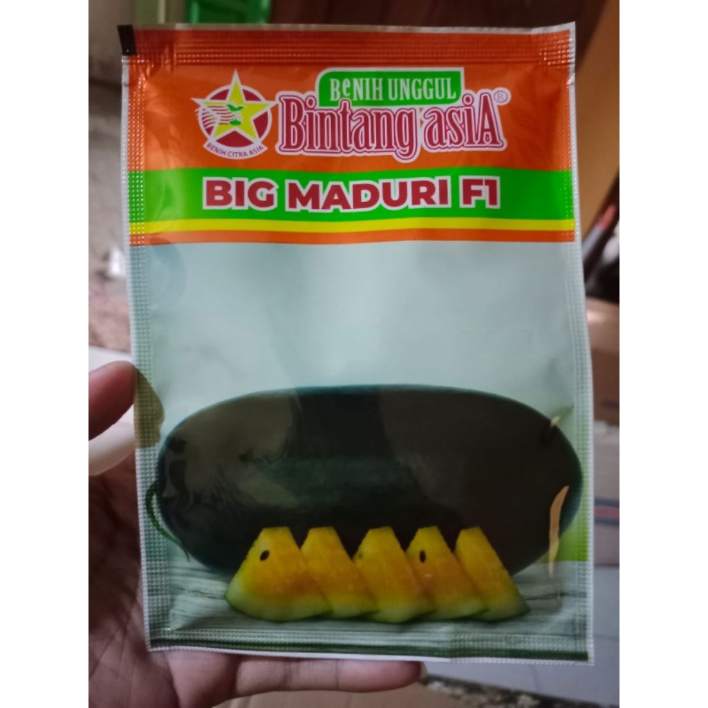 benih semangka BIG MADURI F1