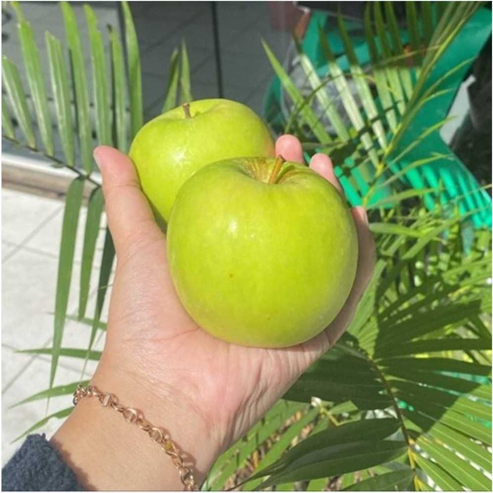 Apel Hijau Granny Smith
