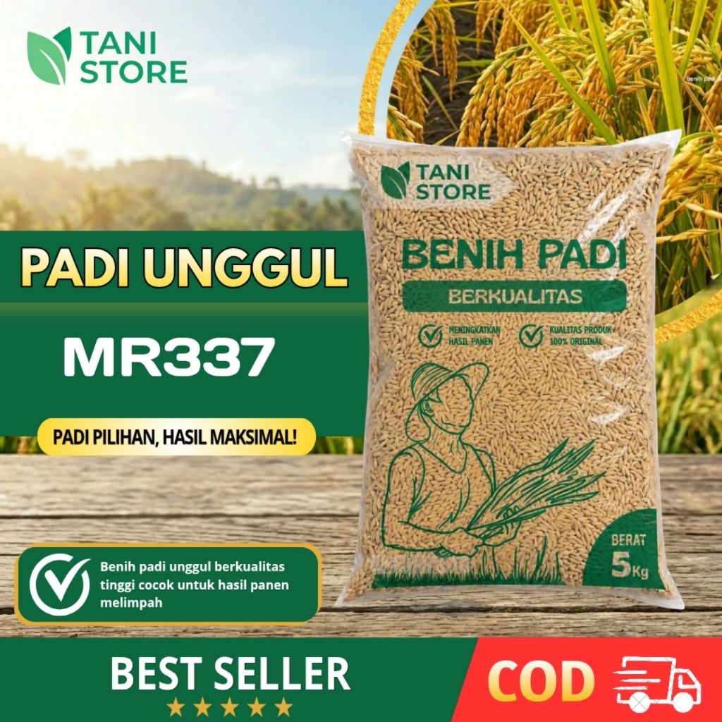 benih padi original jenis mr337 super 5kg
