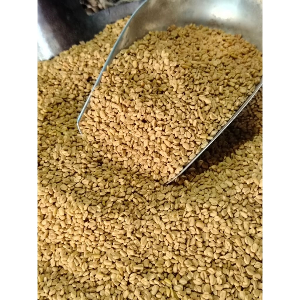 Biji Klabet / Helbeh / Fenugreek Seed 1KG. Kualitas Super