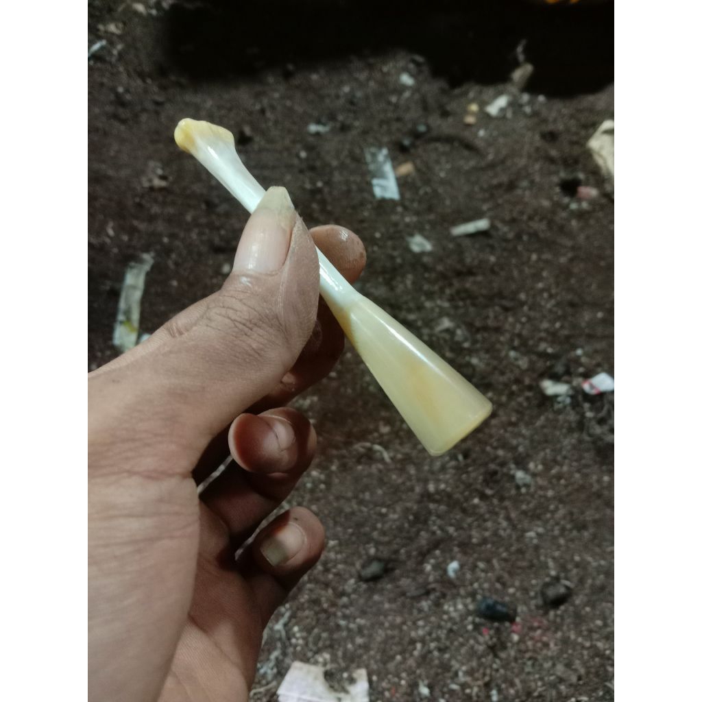 pipa cangklong rokok tulang kalwe asli unik, panjang 10/11 cm, lubang multifungsi fungsi