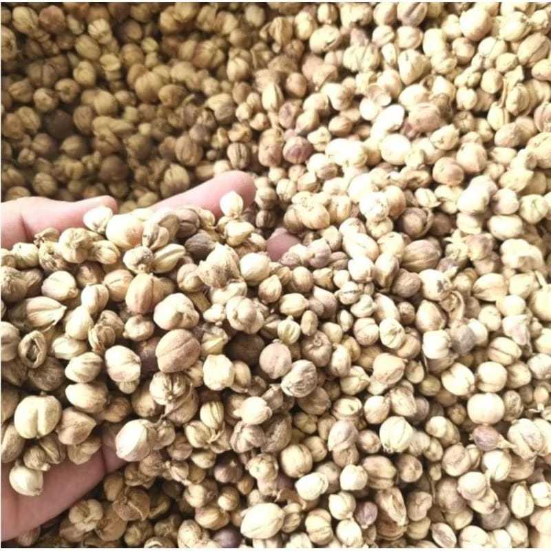 Kapulaga Jawa Kering 1 kg 500 gr 250 gr Kapulaga Lokal Rempah Asli Nusantara Kapulogo jawa kering mu