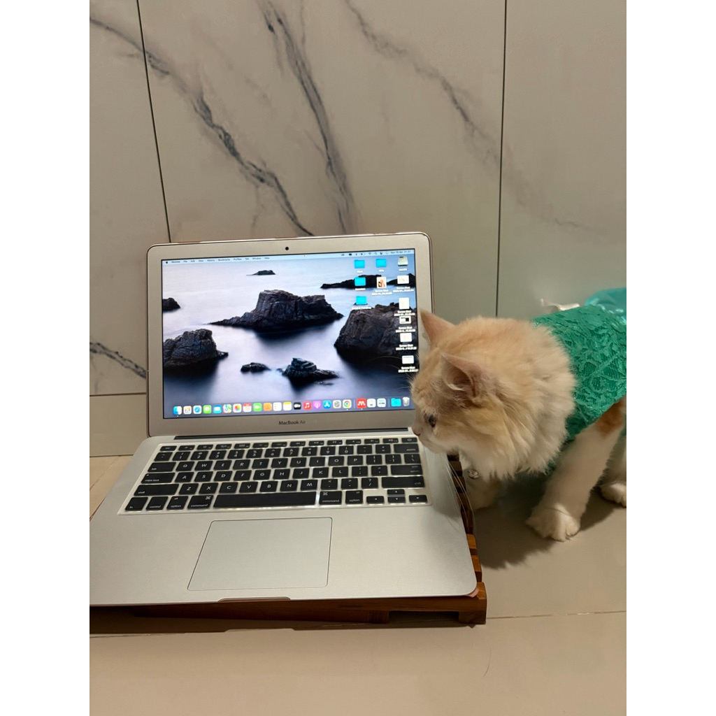 MacBook Air 2017 Cycle Count 1 Preloved