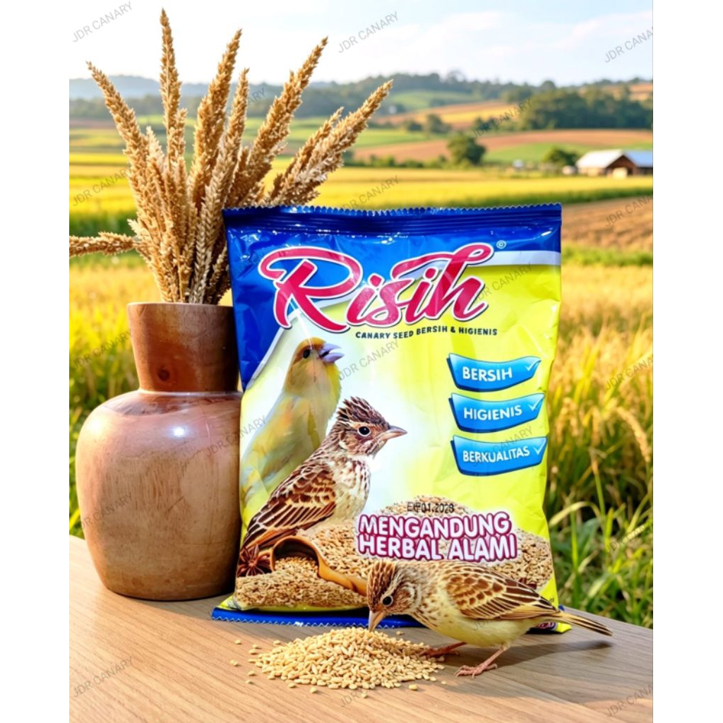 Ebod Risih 400g, Kenari Seed Pakan Burung Kenari dan Branjangan, Bersih, Higienis dan Berkualitas