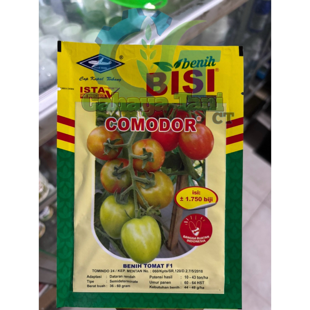 Benih Tomat Comodor