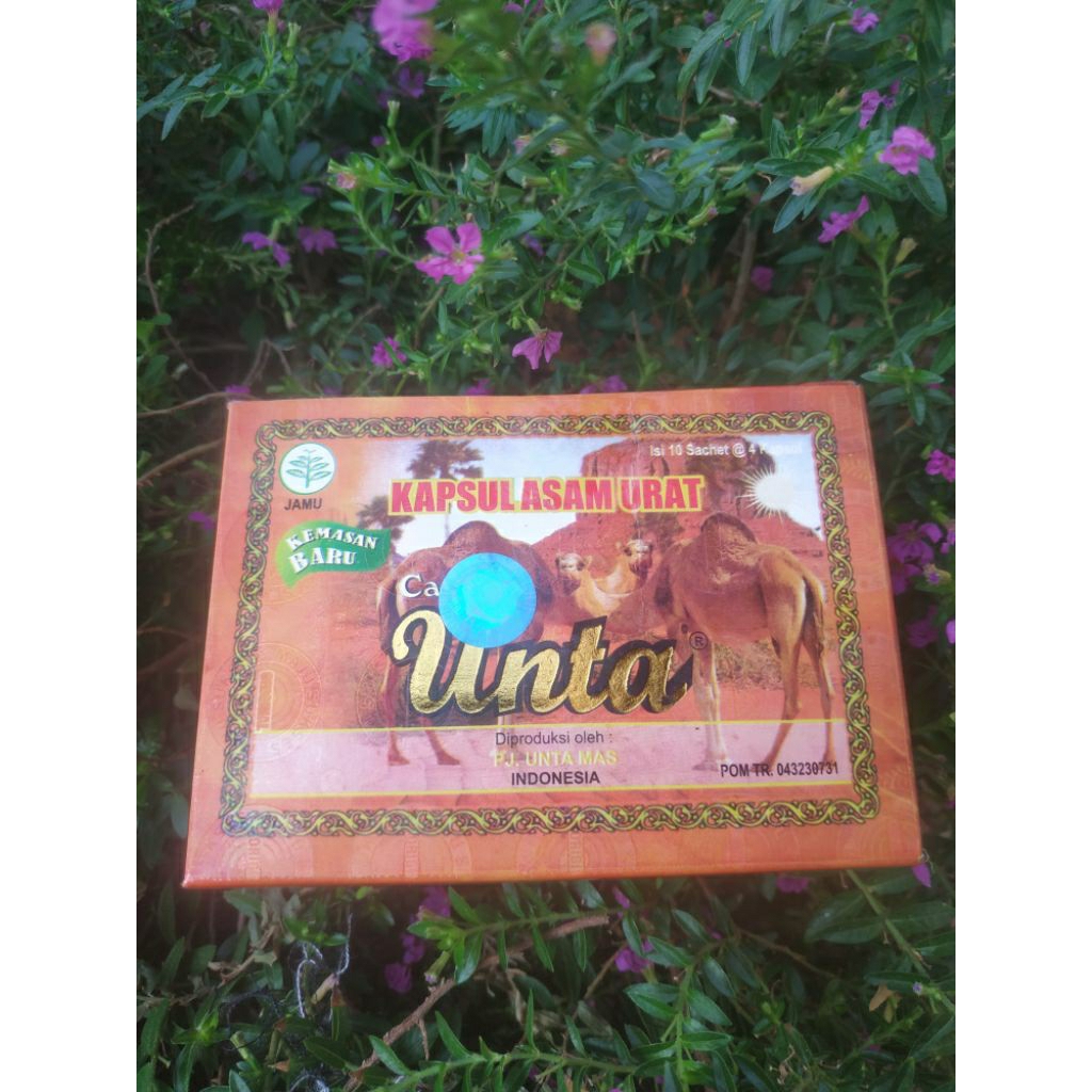 kapsul asam urat cap unta original