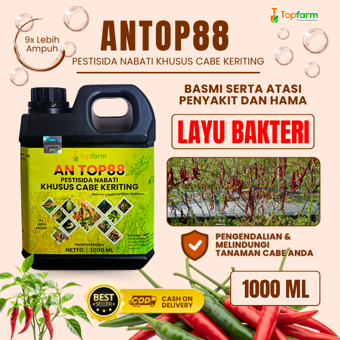 Pestisida Topfarm / Pembasmi Jamur Layu Tanaman Cabai / Obat Layu Bakteri Cabe Keriting / Obat Layu 