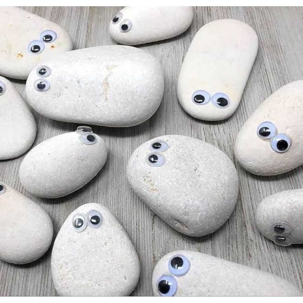 Mainan batu peliharaan | PET ROCK