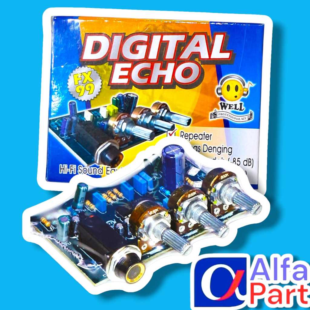 KIT ECHO DIGITAL 1 MIC WELL
