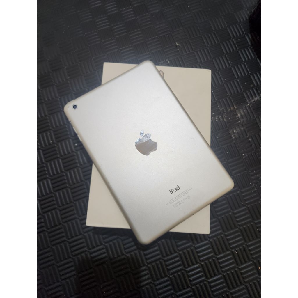 Ipad mini Wifi Only (16GB)