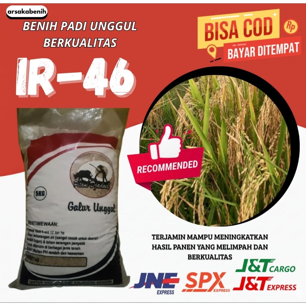 benih padi unggul IR-46 premium 5kg